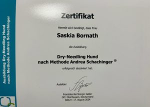 Dry-Needling, Dry Needling, Akupunktur